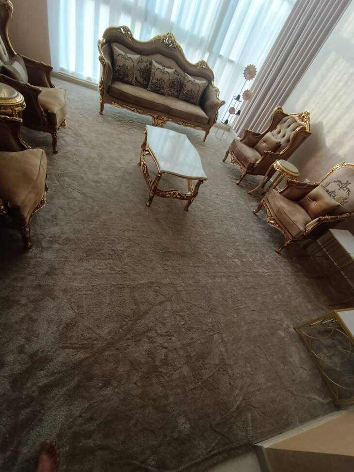 Living Room Carpet - Image 5